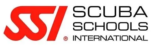 ssid logo long